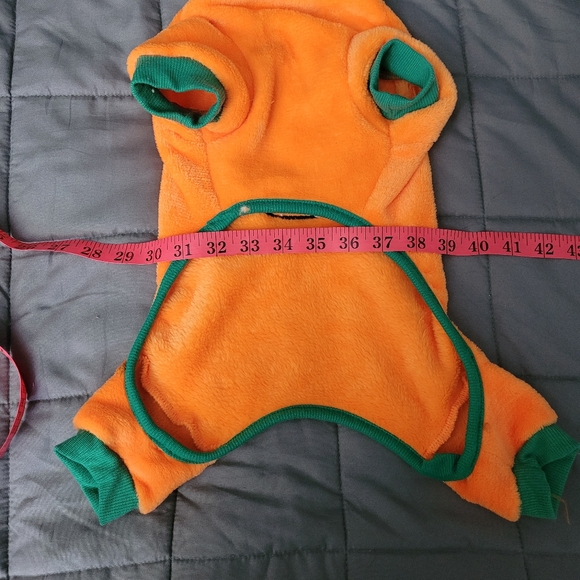 Pumpkin Costume - Picture 4 of 5